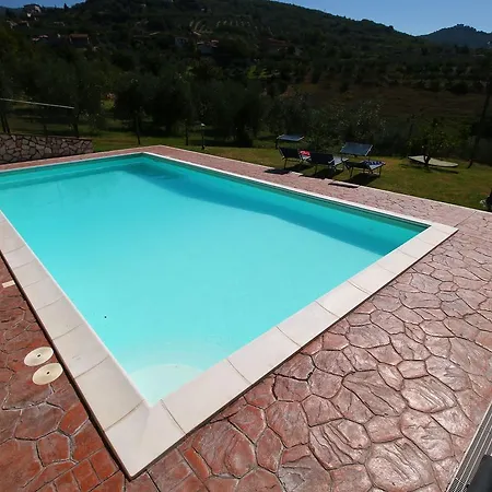 Miele Montecchio